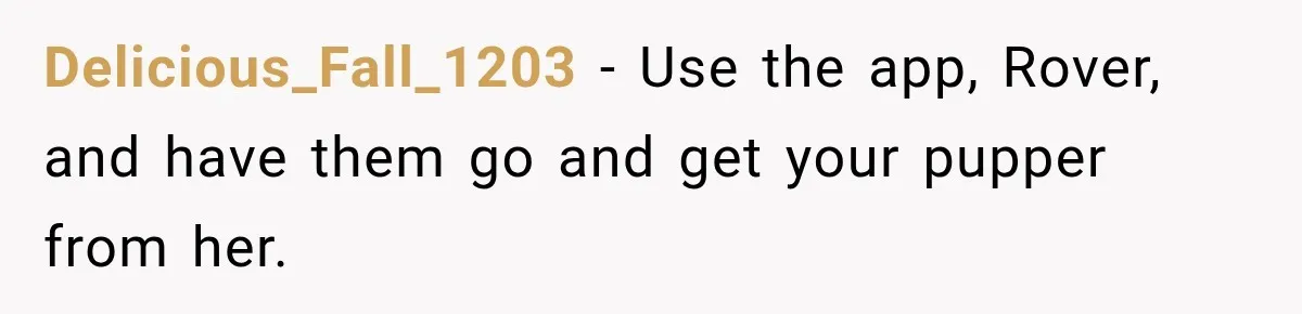 Delicious_Fall_1203 − Use the app, Rover, and have them go and get your pupper from her.