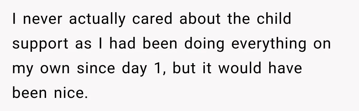 I never actually cared about the child support as I had been doing everything on my own since day 1, but it would have been nice.