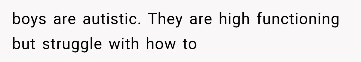 boys are autistic. They are high functioning but struggle with how to