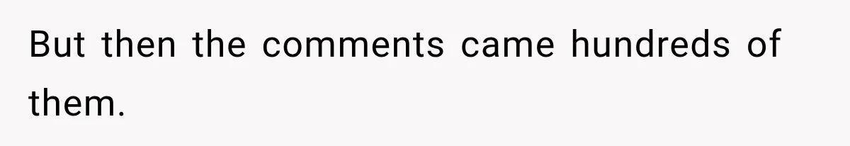 But then the comments came hundreds of them.