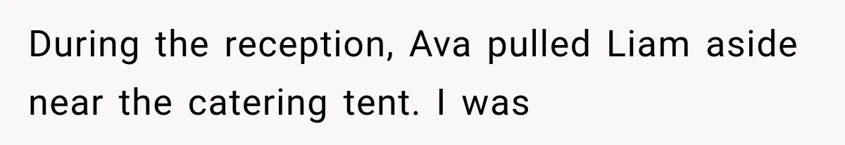 During the reception, Ava pulled Liam aside near the catering tent. I was