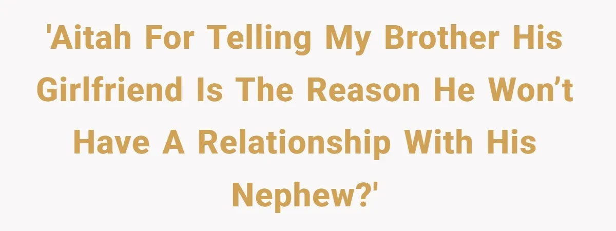 'AITAH for telling my brother his girlfriend is the reason he won’t have a relationship with his nephew?'