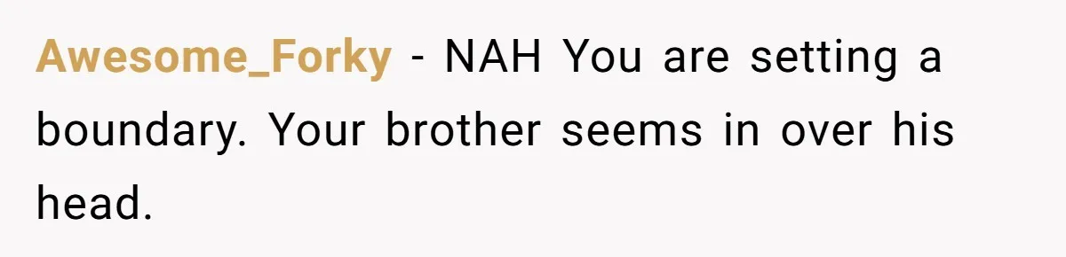 Awesome_Forky − NAH You are setting a boundary. Your brother seems in over his head.