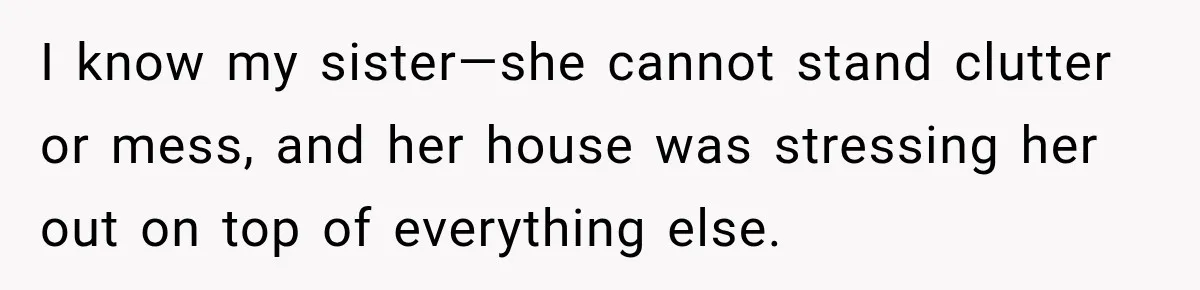 I know my sister—she cannot stand clutter or mess, and her house was stressing her out on top of everything else.