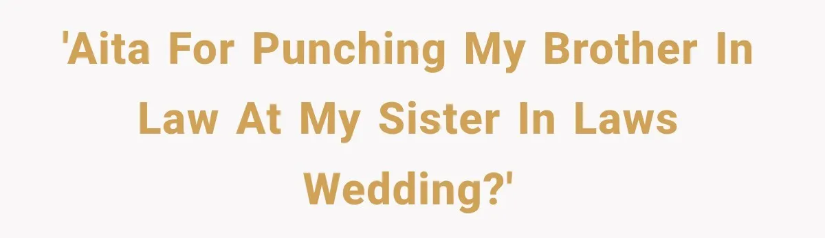 'AITA for punching my brother in law at my sister in laws wedding?'