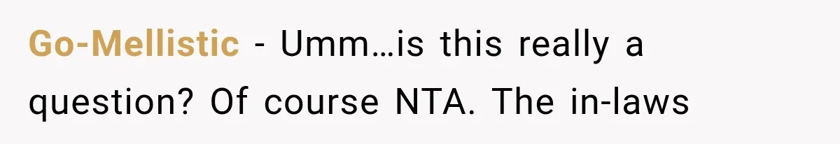 Go-Mellistic − Umm…is this really a question? Of course NTA. The in-laws