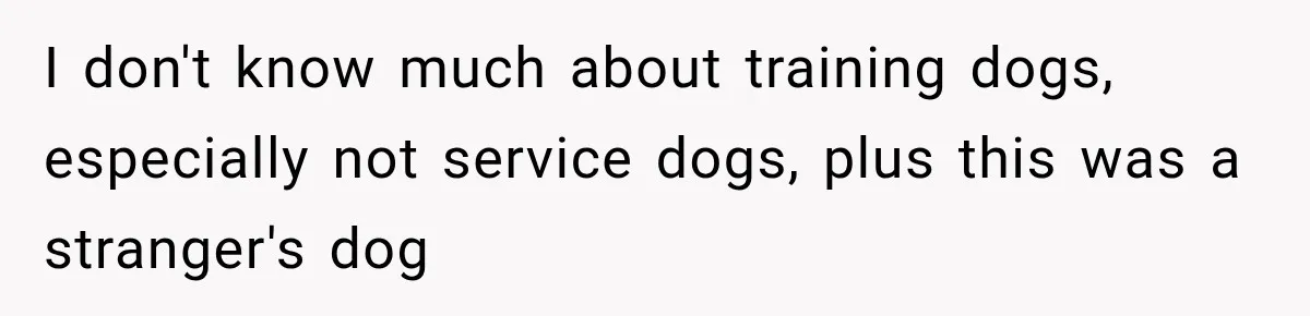 I don't know much about training dogs, especially not service dogs, plus this was a stranger's dog