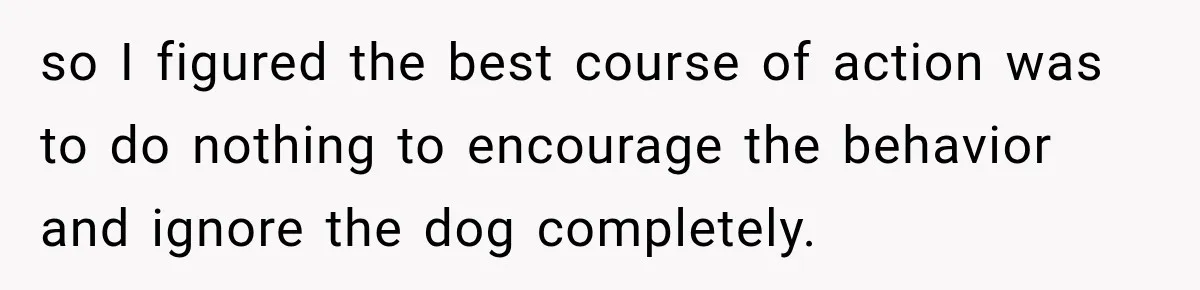so I figured the best course of action was to do nothing to encourage the behavior and ignore the dog completely.