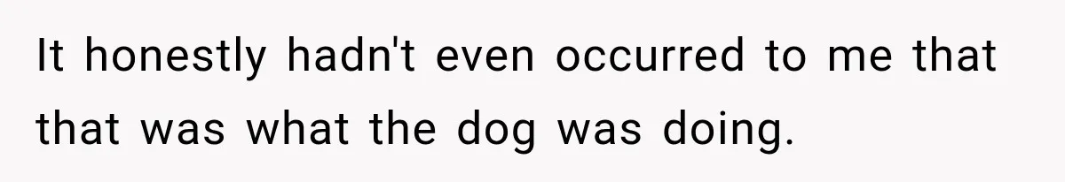 It honestly hadn't even occurred to me that that was what the dog was doing.