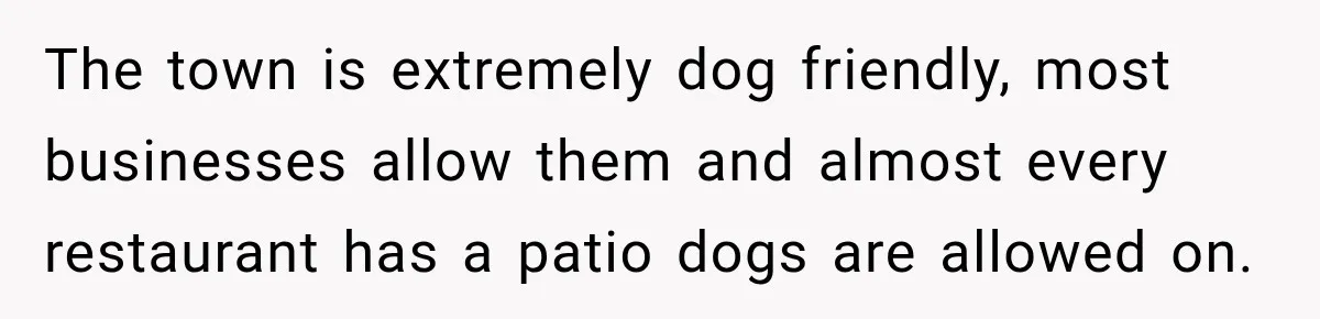 The town is extremely dog friendly, most businesses allow them and almost every restaurant has a patio dogs are allowed on.