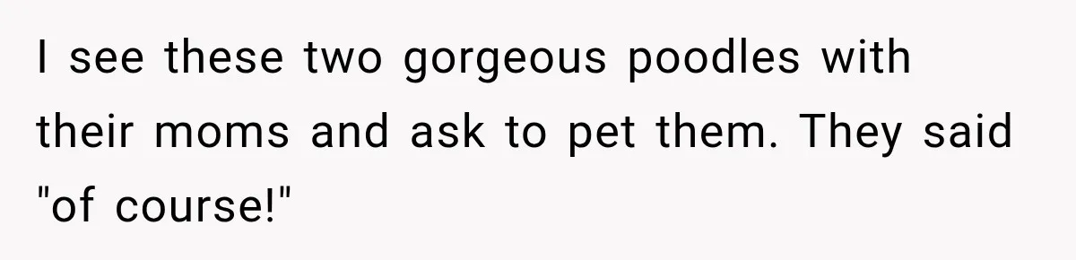 I see these two gorgeous poodles with their moms and ask to pet them. They said "of course!"