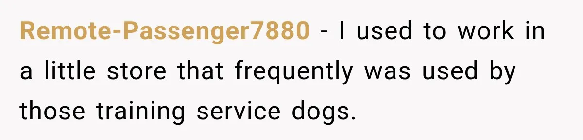 Remote-Passenger7880 − I used to work in a little store that frequently was used by those training service dogs.