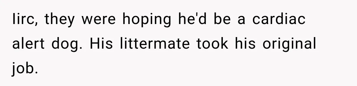 Iirc, they were hoping he'd be a cardiac alert dog. His littermate took his original job.