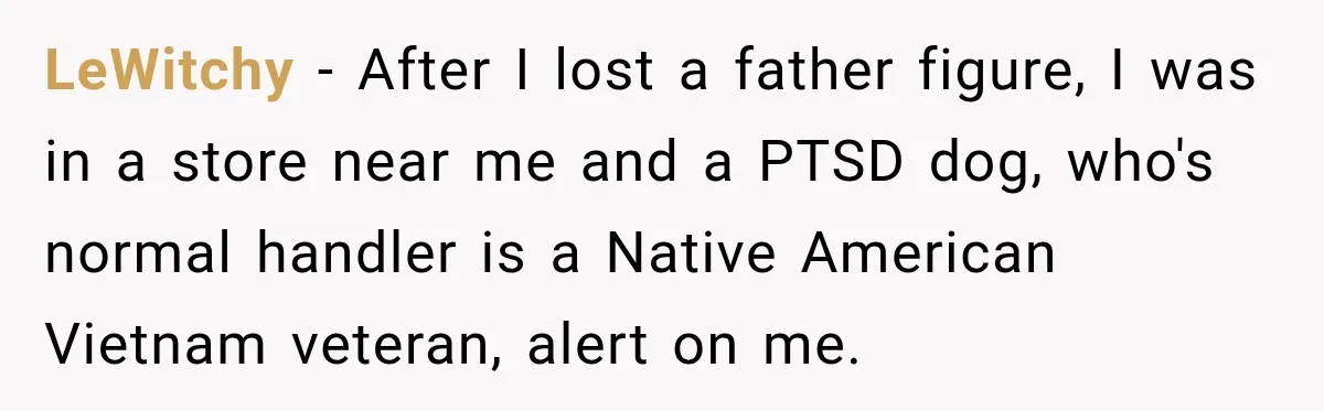 LeWitchy − After I lost a father figure, I was in a store near me and a PTSD dog, who's normal handler is a Native American Vietnam veteran, alert on...