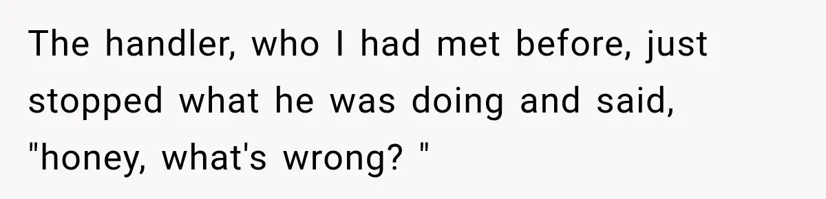 The handler, who I had met before, just stopped what he was doing and said, "honey, what's wrong? "