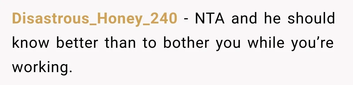 Disastrous_Honey_240 − NTA and he should know better than to bother you while you’re working.
