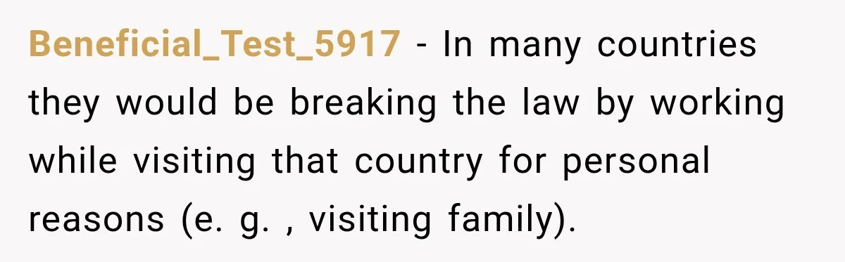 Beneficial_Test_5917 − In many countries they would be breaking the law by working while visiting that country for personal reasons (e. g. , visiting family).