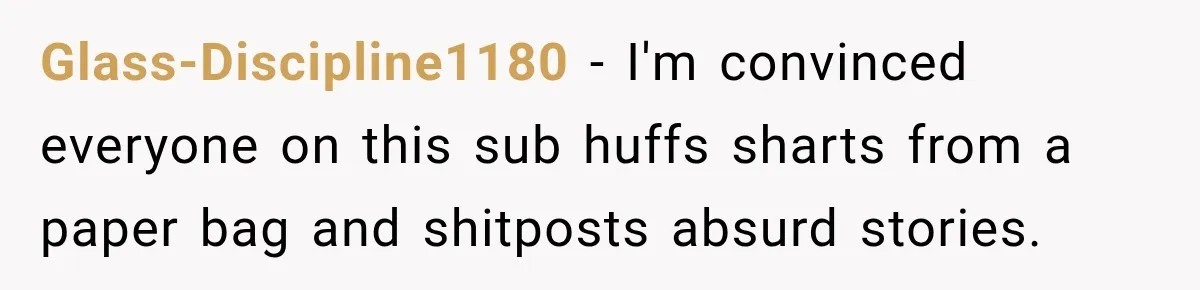 Glass-Discipline1180 − I'm convinced everyone on this sub huffs sharts from a paper bag and shitposts absurd stories.