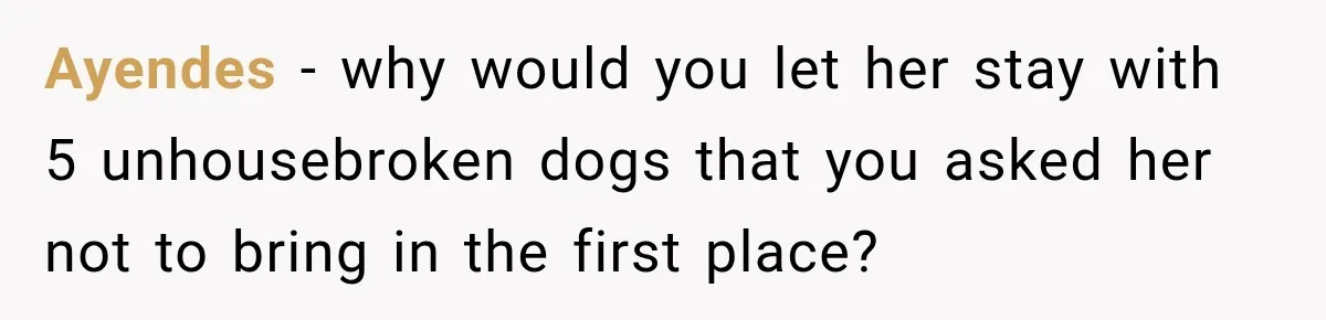 Ayendes − why would you let her stay with 5 unhousebroken dogs that you asked her not to bring in the first place?
