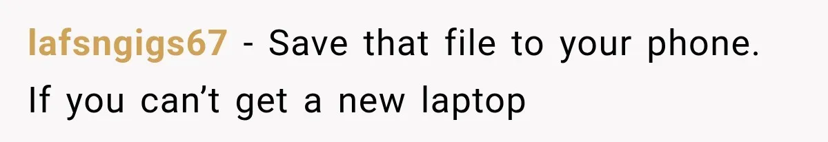 lafsngigs67 − Save that file to your phone. If you can’t get a new laptop