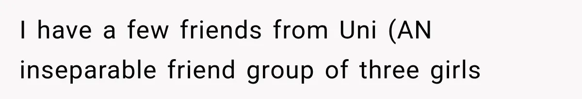 I have a few friends from Uni (AN inseparable friend group of three girls