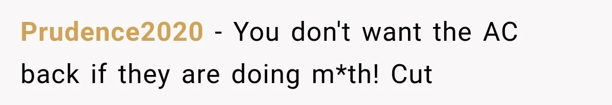 Prudence2020 − You don't want the AC back if they are doing m*th! Cut