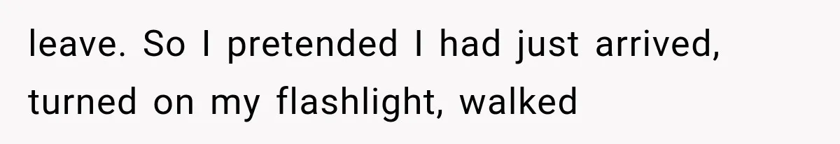 leave. So I pretended I had just arrived, turned on my flashlight, walked