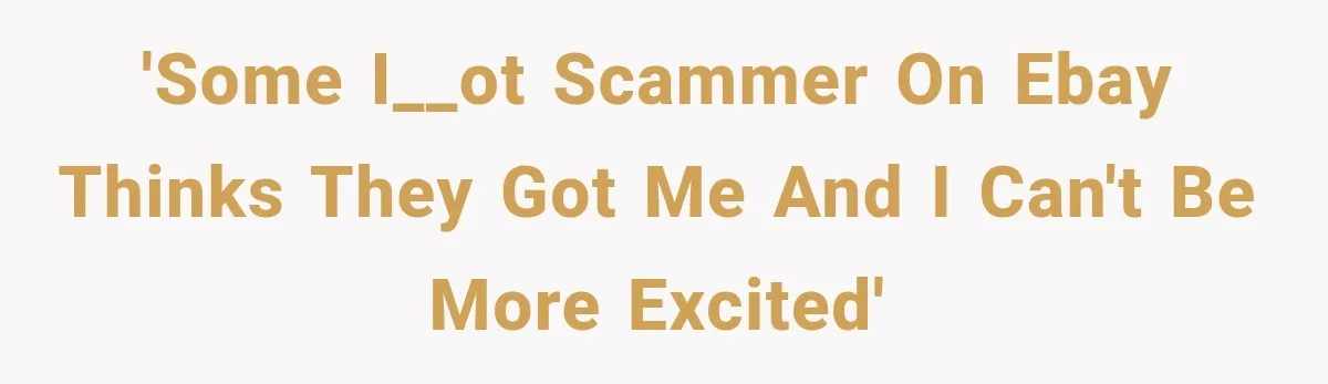'Some i__ot scammer on ebay thinks they got me and I can't be more excited'