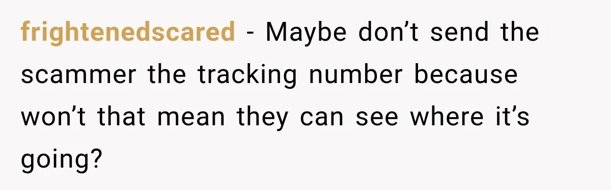 frightenedscared − Maybe don’t send the scammer the tracking number because won’t that mean they can see where it’s going?