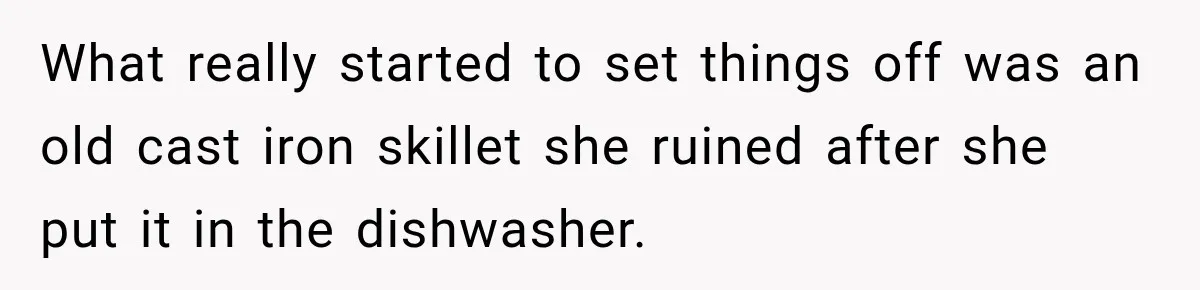 Woman Kicks Out Sister After Six Years Of Free Living And Family Turns Against Her What really started to set things off was an old cast iron skillet she ruined after she put it in the dishwasher.