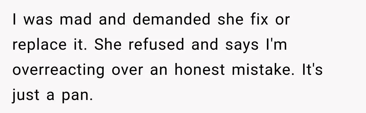 Woman Kicks Out Sister After Six Years Of Free Living And Family Turns Against Her I was mad and demanded she fix or replace it. She refused and says I'm overreacting over an honest mistake. It's just a pan.