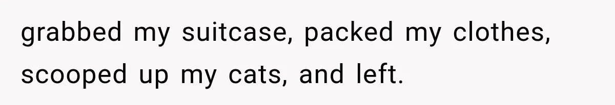 Woman Leaves Husband After Third Betrayal, Then Discovers He Had Secretly Invented an Entire Poly Relationship grabbed my suitcase, packed my clothes, scooped up my cats, and left.
