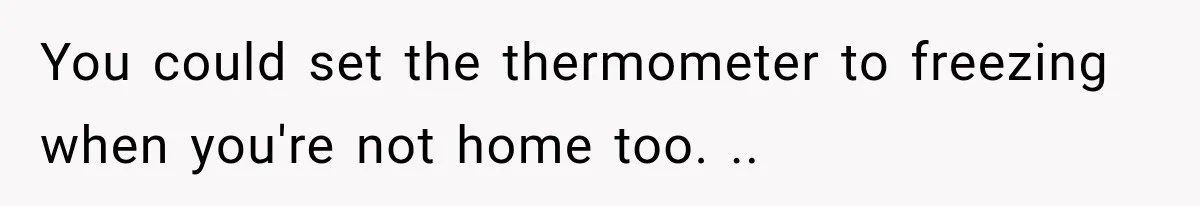 Woman Kicks Out Sister After Six Years Of Free Living And Family Turns Against Her You could set the thermometer to freezing when you're not home too. ..