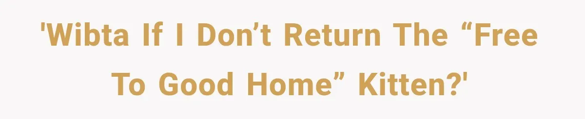 'WIBTA if I don’t return the “free to good home” kitten?'