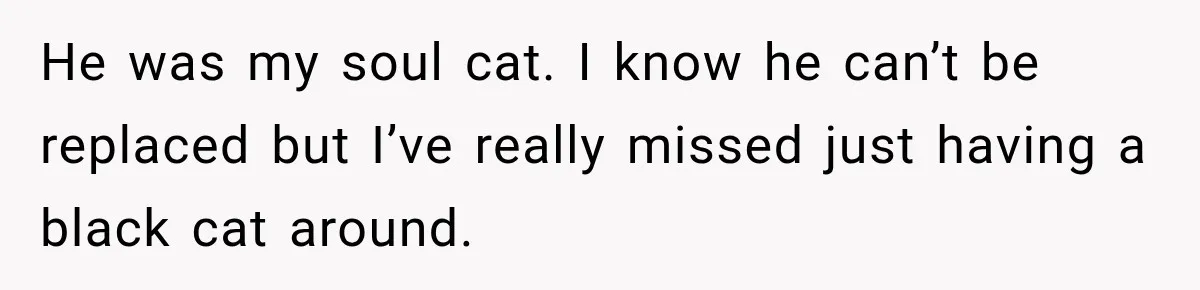 He was my soul cat. I know he can’t be replaced but I’ve really missed just having a black cat around.