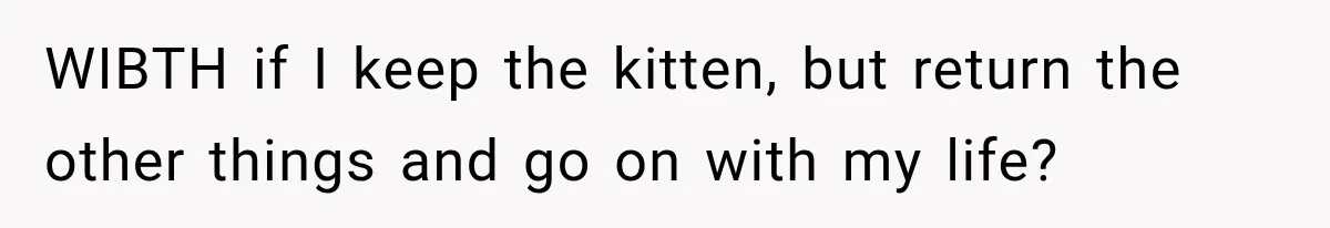 WIBTH if I keep the kitten, but return the other things and go on with my life?