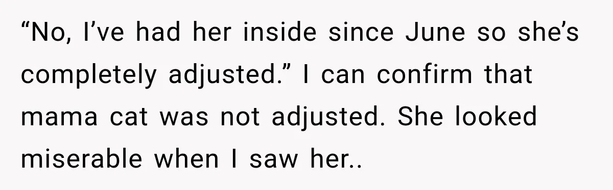 “No, I’ve had her inside since June so she’s completely adjusted.” I can confirm that mama cat was not adjusted. She looked miserable when I saw her..