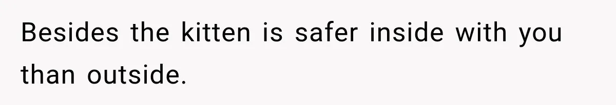 Besides the kitten is safer inside with you than outside.