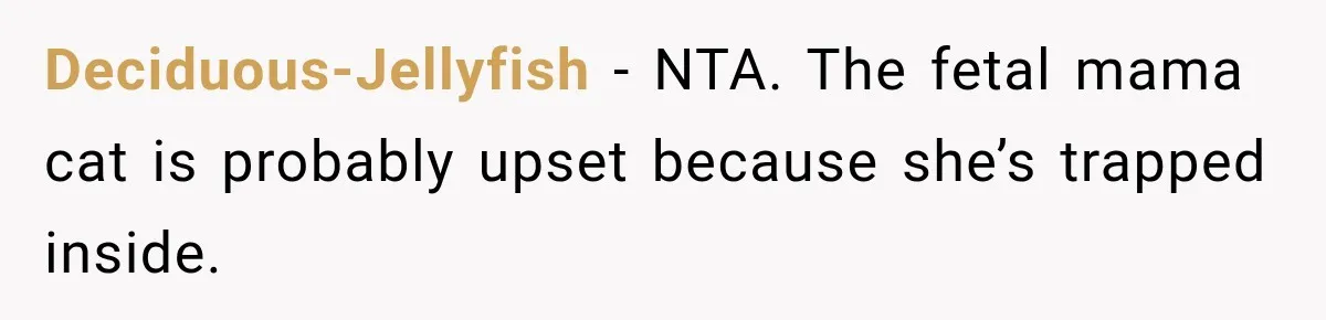 Deciduous-Jellyfish − NTA. The fetal mama cat is probably upset because she’s trapped inside.