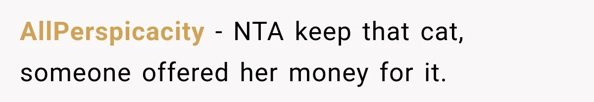 AllPerspicacity − NTA keep that cat, someone offered her money for it.