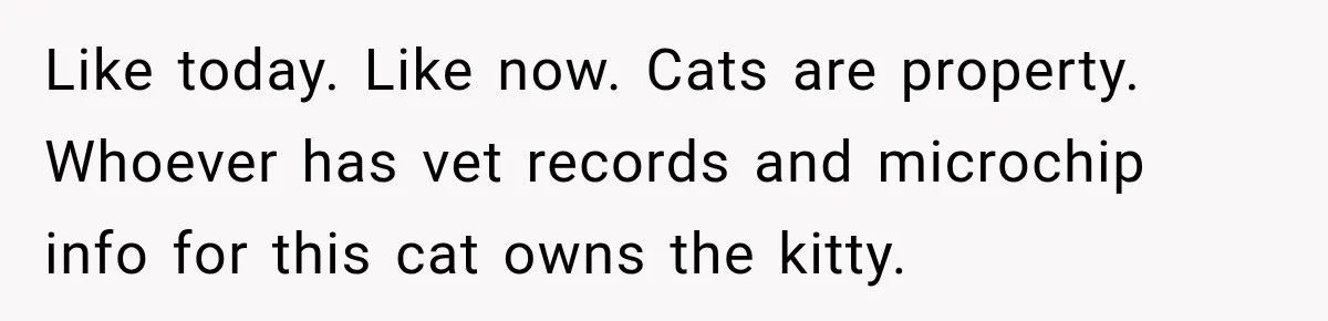 Like today. Like now. Cats are property. Whoever has vet records and microchip info for this cat owns the kitty.