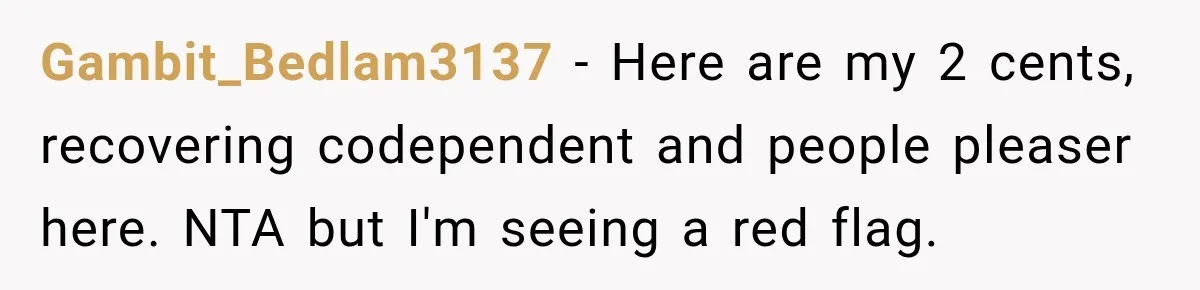 Gambit_Bedlam3137 − Here are my 2 cents, recovering codependent and people pleaser here. NTA but I'm seeing a red flag.