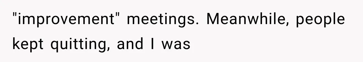 "improvement" meetings. Meanwhile, people kept quitting, and I was