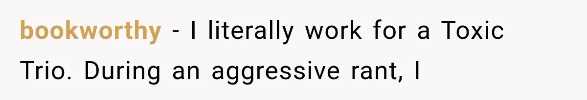 bookworthy − I literally work for a Toxic Trio. During an aggressive rant, I