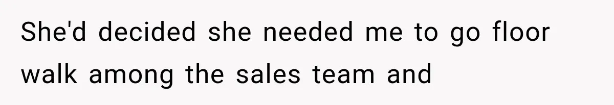 She'd decided she needed me to go floor walk among the sales team and