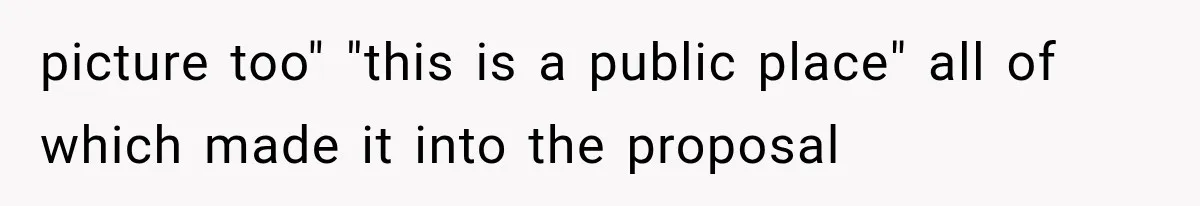 picture too" "this is a public place" all of which made it into the proposal