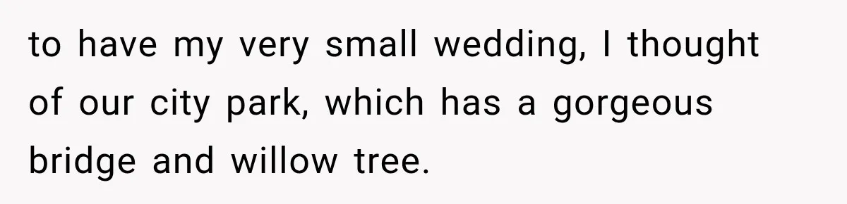 to have my very small wedding, I thought of our city park, which has a gorgeous bridge and willow tree.