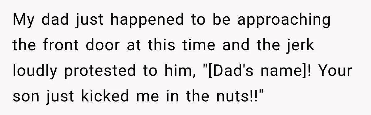 My dad just happened to be approaching the front door at this time and the jerk loudly protested to him, "[Dad's name]! Your son just kicked me in the nuts!!"