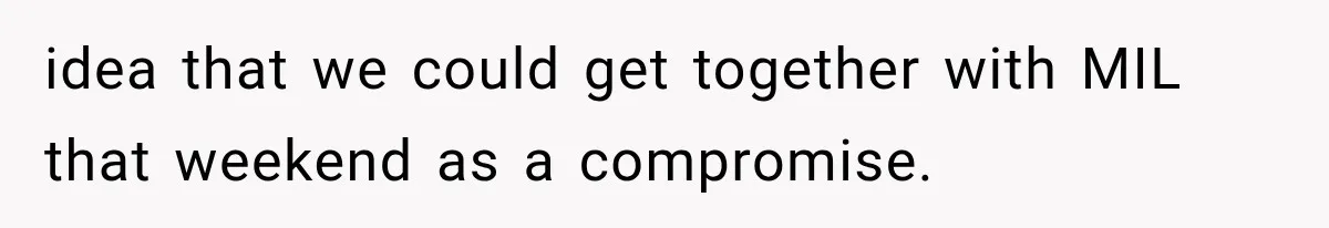 idea that we could get together with MIL that weekend as a compromise.