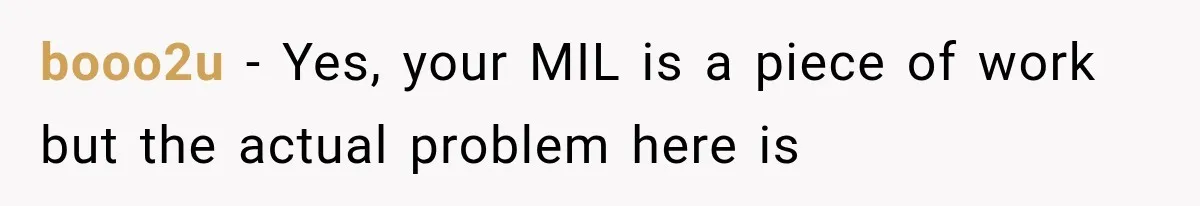 booo2u − Yes, your MIL is a piece of work but the actual problem here is
